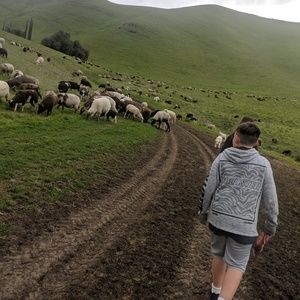 Meet your Posher, Gustavo